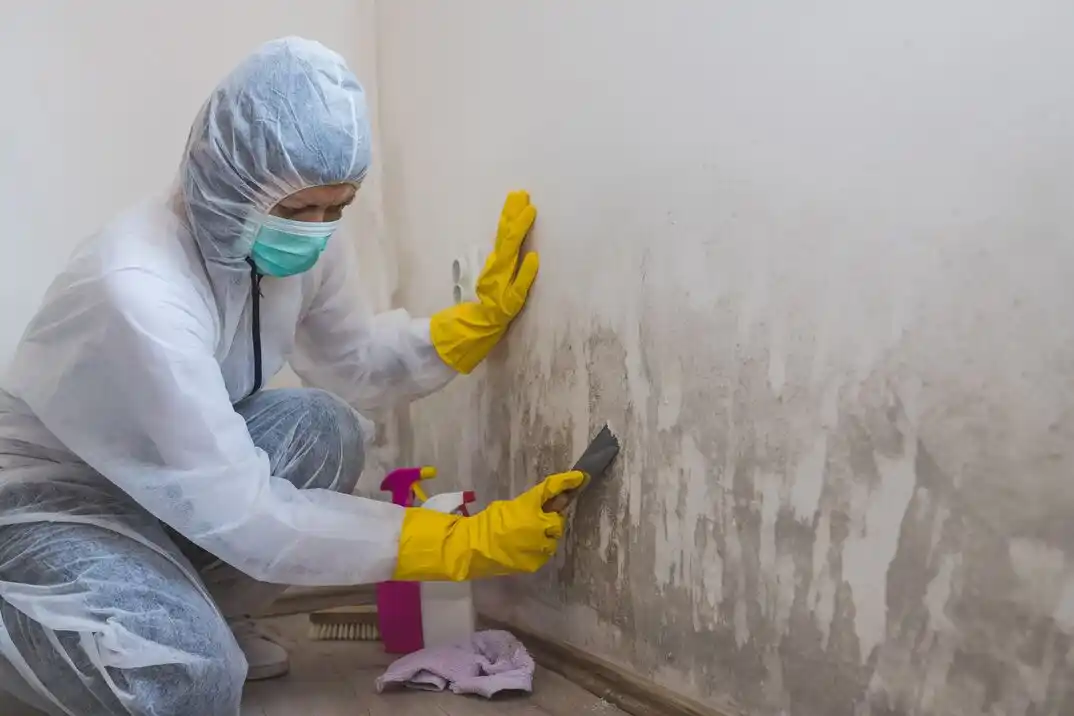 water damage restoration service Mantle Brook